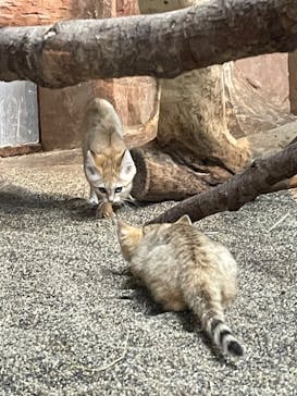那須どうぶつ王国に投稿された画像（2022/6/11）