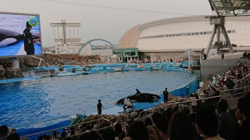 名古屋港水族館に投稿された画像（2022/6/11）