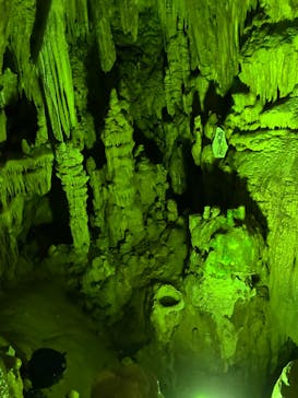 あぶくま洞に投稿された画像（2022/6/11）