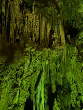 あぶくま洞に投稿された画像（2022/6/11）