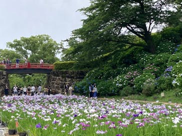小田原城に投稿された画像（2022/6/11）