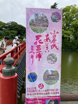 小田原城に投稿された画像（2022/6/11）