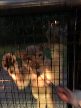 那須サファリパークに投稿された画像（2022/6/11）