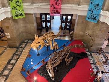 国立科学博物館　特別企画展「ポケモン化石博物館」に投稿された画像（2022/6/11）
