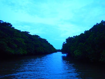 石垣島 ADVENTURE PiPi（イシガキジマアドベンチャーピピ）に投稿された画像（2022/6/11）