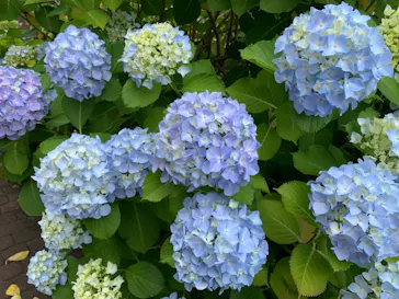 横浜・八景島シーパラダイスに投稿された画像（2022/6/11）