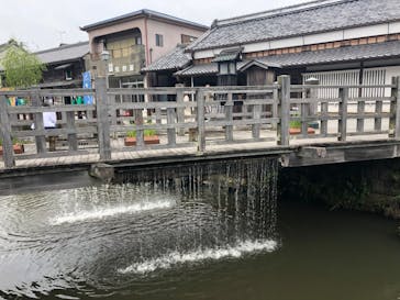 小江戸さわら 舟めぐりに投稿された画像（2022/6/11）