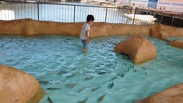 伊豆・三津シーパラダイスに投稿された画像（2022/6/11）