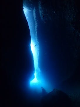 クリオネダイバーズに投稿された画像（2022/6/11）