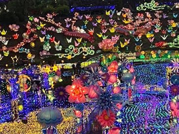 伊豆ぐらんぱる公園に投稿された画像（2022/6/11）