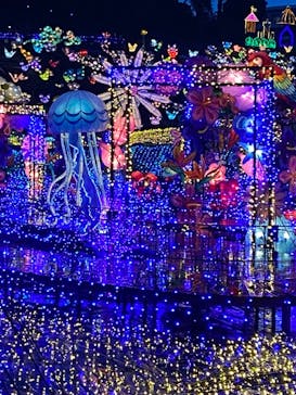 伊豆ぐらんぱる公園に投稿された画像（2022/6/11）