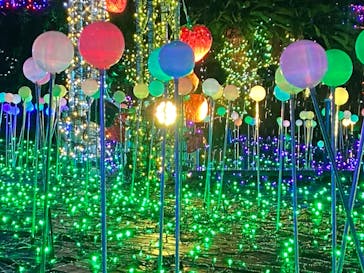 伊豆ぐらんぱる公園に投稿された画像（2022/6/11）