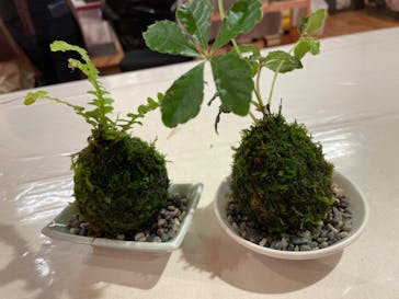 伊勢夫婦岩めおと横丁　めおと岩アクティビティに投稿された画像（2022/6/11）