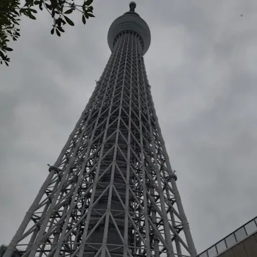 すみだ水族館に投稿された画像（2022/6/12）