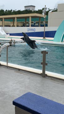 鴨川シーワールドに投稿された画像（2022/6/12）