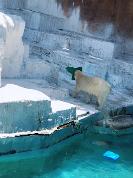 天王寺動物園に投稿された画像（2022/6/12）