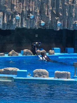 名古屋港水族館に投稿された画像（2022/6/12）