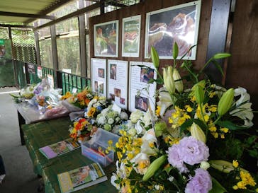 那須サファリパークに投稿された画像（2022/6/12）