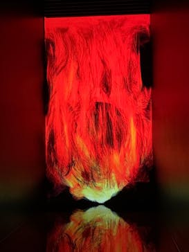 チームラボプラネッツ TOKYO DMMに投稿された画像（2022/6/12）