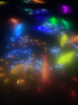 チームラボプラネッツ TOKYO DMMに投稿された画像（2022/6/12）