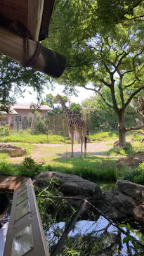 天王寺動物園に投稿された画像（2022/6/12）