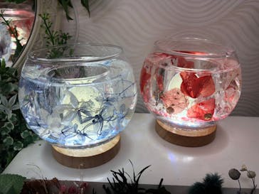 ずこうしつ〜sugamo〜に投稿された画像（2022/6/12）