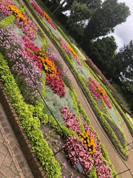 安城産業文化公園デンパークに投稿された画像（2022/6/12）