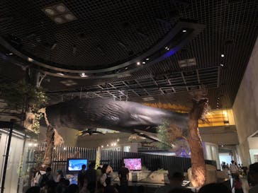 国立科学博物館に投稿された画像（2022/6/12）