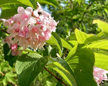 大地の芸術祭 実行委員会に投稿された画像（2022/6/12）