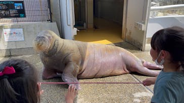 大分マリーンパレス水族館 「うみたまご」に投稿された画像（2022/6/12）