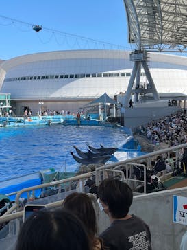 名古屋港水族館に投稿された画像（2022/6/12）