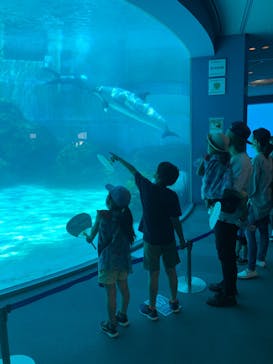 名古屋港水族館に投稿された画像（2022/6/12）