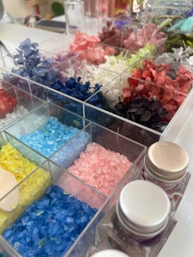 ずこうしつ〜sugamo〜に投稿された画像（2022/6/12）