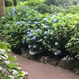 ニューヨークランプミュージアム＆フラワーガーデンに投稿された画像（2022/6/12）