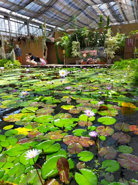 神戸どうぶつ王国に投稿された画像（2022/6/12）