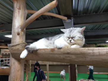 神戸どうぶつ王国に投稿された画像（2022/6/12）