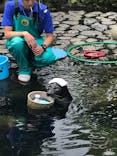 箱根園水族館に投稿された画像（2022/6/12）
