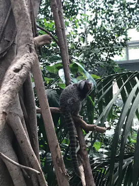 神戸どうぶつ王国に投稿された画像（2022/6/12）