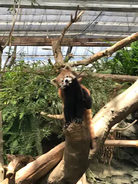 神戸どうぶつ王国に投稿された画像（2022/6/12）