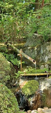 足立美術館に投稿された画像（2022/6/12）