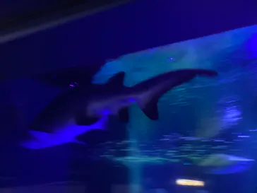 横浜・八景島シーパラダイスに投稿された画像（2022/6/12）