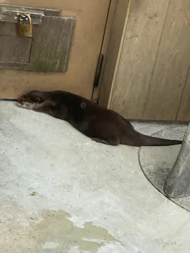 横浜・八景島シーパラダイスに投稿された画像（2022/6/12）