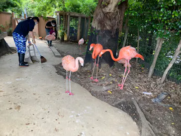横浜・八景島シーパラダイスに投稿された画像（2022/6/12）