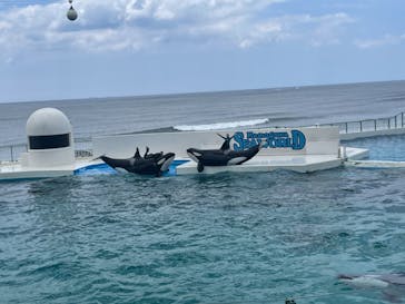 鴨川シーワールドに投稿された画像（2022/6/12）