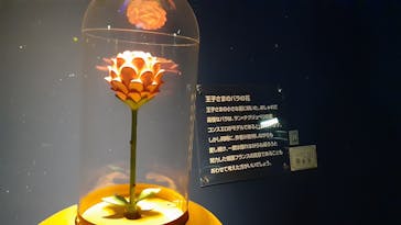 星の王子さまミュージアム 箱根サン=テグジュペリに投稿された画像（2022/6/12）