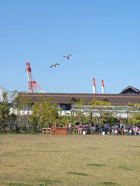 神戸どうぶつ王国に投稿された画像（2022/6/12）