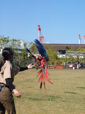 神戸どうぶつ王国に投稿された画像（2022/6/12）