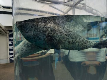 京都水族館×ニデック京都タワーに投稿された画像（2022/6/12）