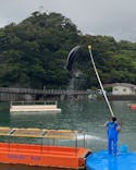 下田海中水族館に投稿された画像（2022/6/12）
