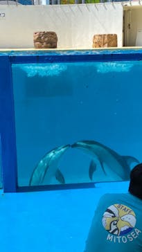伊豆・三津シーパラダイスに投稿された画像（2022/6/12）